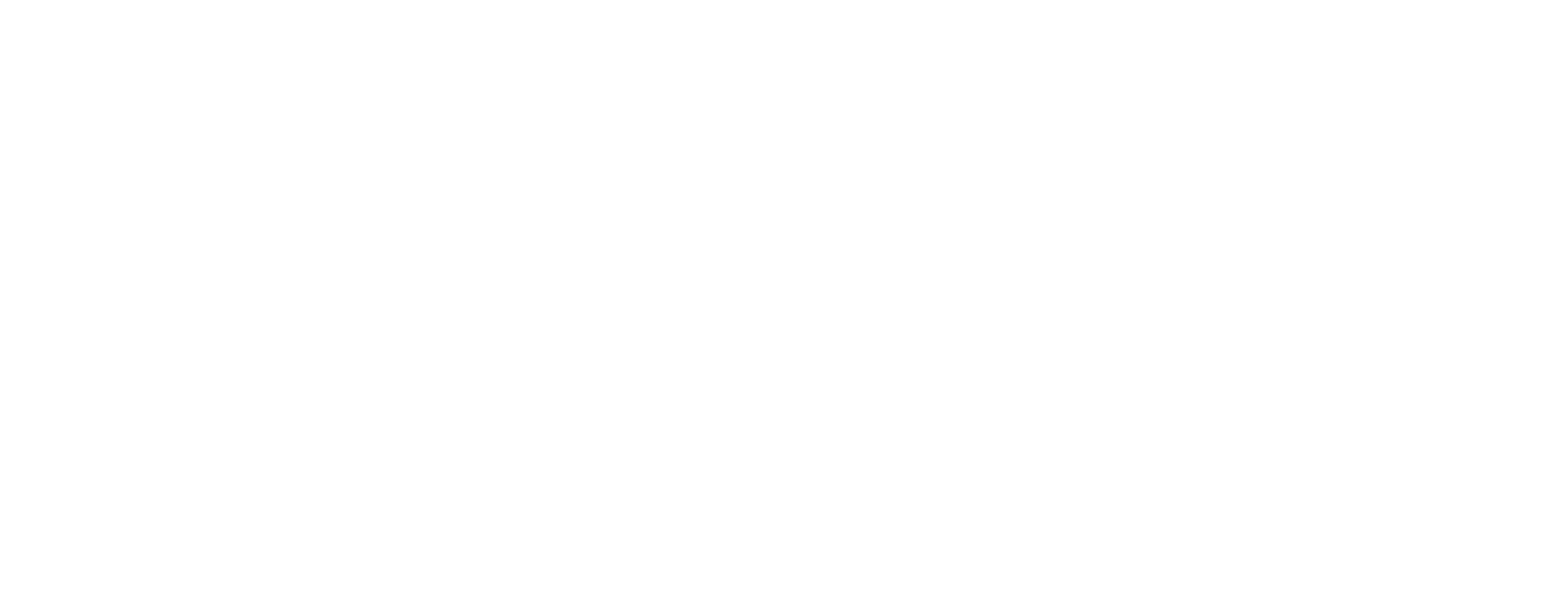 Naas logo with tagline “Connecting Smartness”